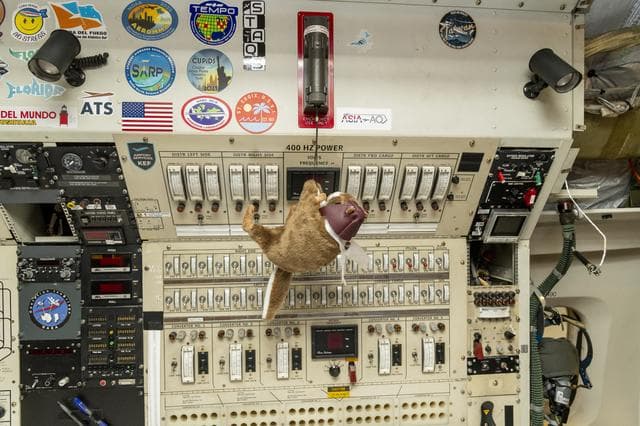 NASA image: NASA Armstrong Event Celebrates NASA DC-8 Aircraft