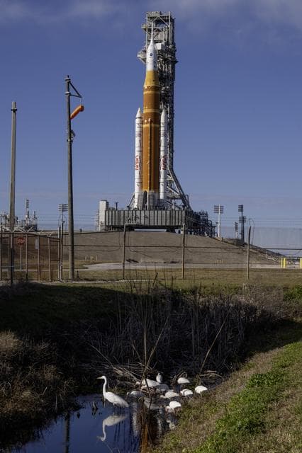 NASA image:  SLS at the pad
