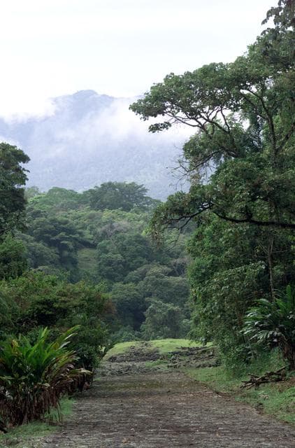 NASA image: Pre-Columbian archaeological ruins are revealed through Costa Rican rain forest in this photo taken during NASA's AirSAR 2004 campaign