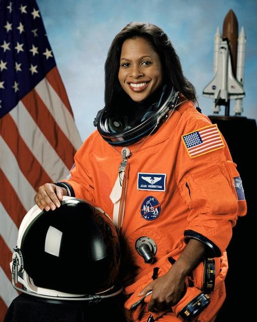 NASA image: Official Portrait of Joan Higginbotham