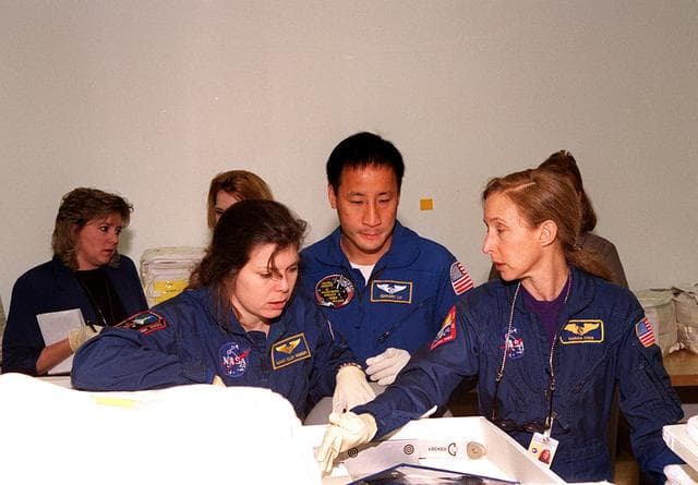 NASA image: KSC-00pp0035