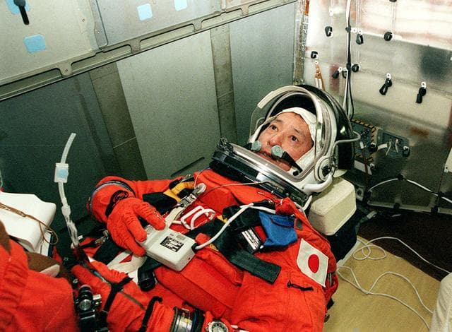 NASA image: KSC-00pp0076