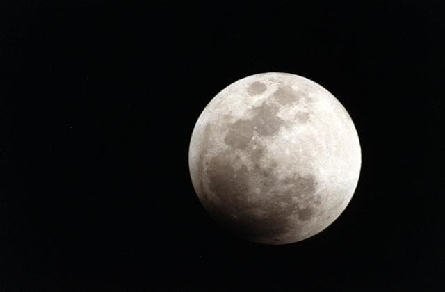 NASA image: KSC-00pp0091