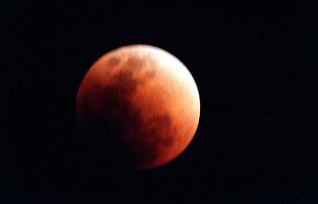 NASA image: KSC-00pp0096