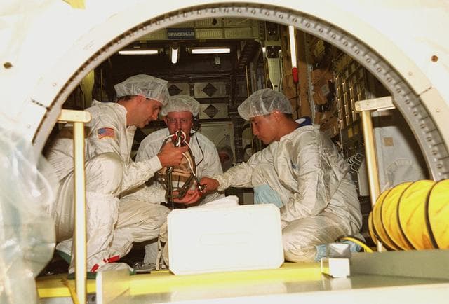 NASA image: KSC-00pp0959