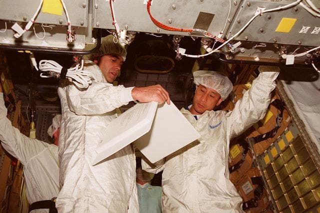 NASA image: KSC-00pp0960