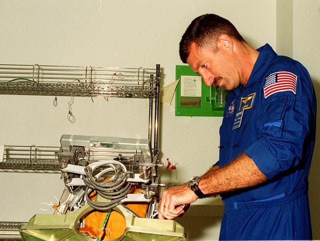 NASA image: KSC-00pp0962