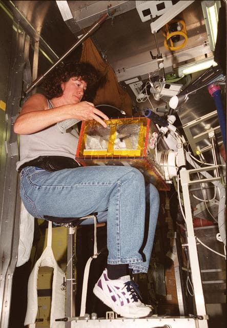 NASA image: KSC-01pp1162