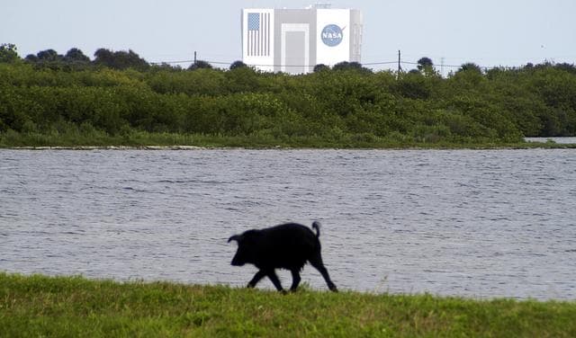 NASA image: KSC-03pd0779