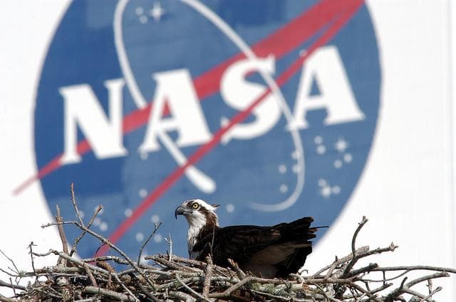 NASA image: KSC-03pd0947