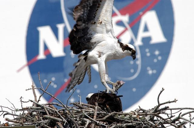 NASA image: KSC-03pd0949