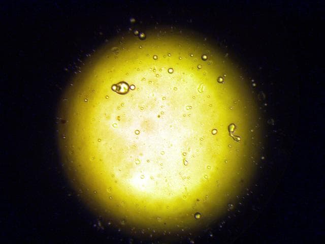 NASA image: KSC-03pd1449