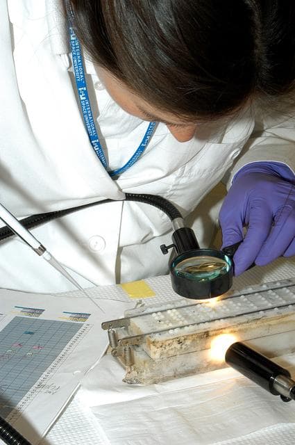 NASA image: KENNEDY SPACE CENTER, FLA. - Valerie Cassanto, with Instrumentation Technology Associates, Inc., examines closely the container containing one of the experiments carried on mission STS-107.  Several experiments were found during the search for Columbia debris.  Included in the Commercial ITA Biomedical Experiments payload on mission STS-107 are urokinase cancer research, microencapsulation of drugs, the Growth of Bacterial Biofilm on Surfaces during Spaceflight (GOBBSS), and tin crystal formation.