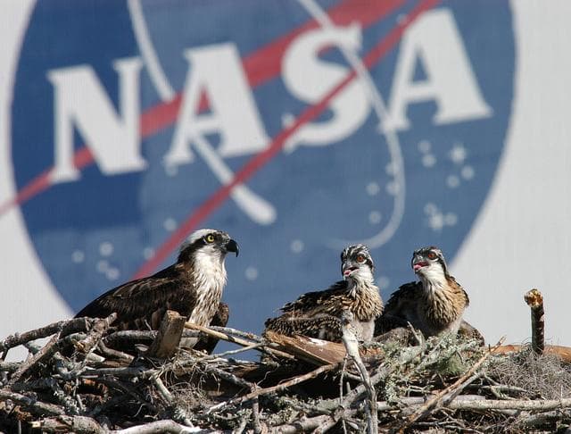 NASA image: KSC-04pd0901