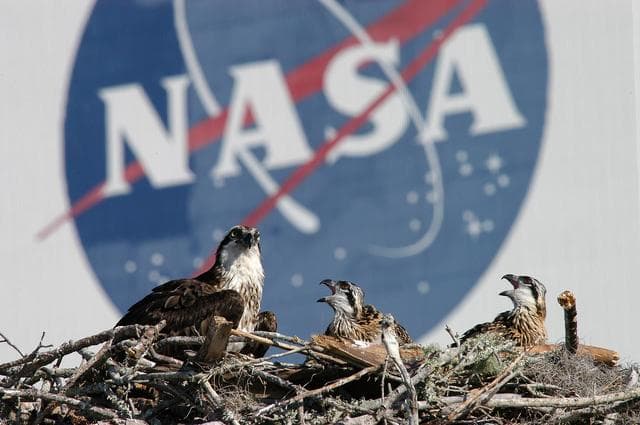 NASA image: KSC-04pd0902
