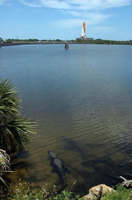 NASA image: KSC-06pd0873