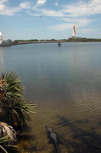 NASA image: KSC-06pd0874