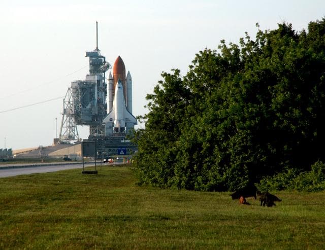 NASA image: KSC-06pd0903