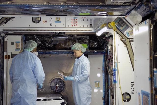 NASA image: KSC-07pd0171
