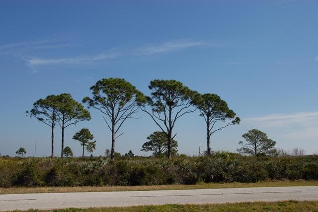 NASA image: KSC-07pd0365