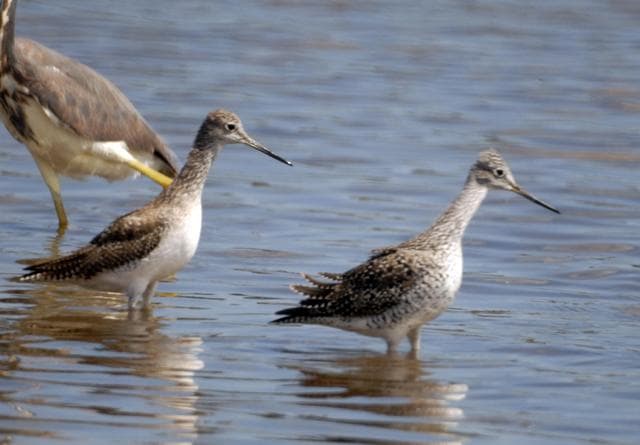 NASA image: KSC-07pd0722