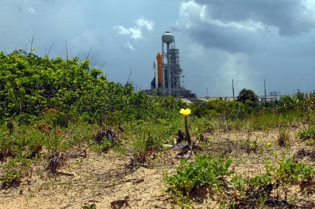 NASA image: KSC-07pd1848