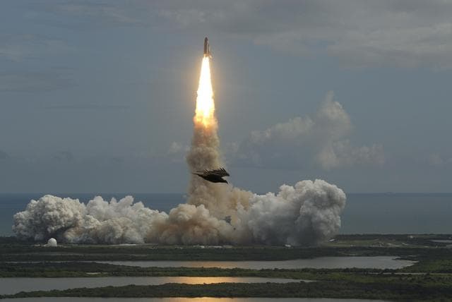 NASA image: KSC-07pd2962