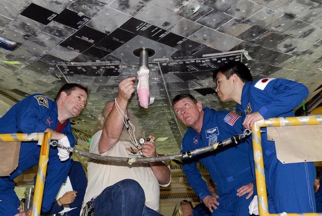 NASA image: KSC-08pd0307
