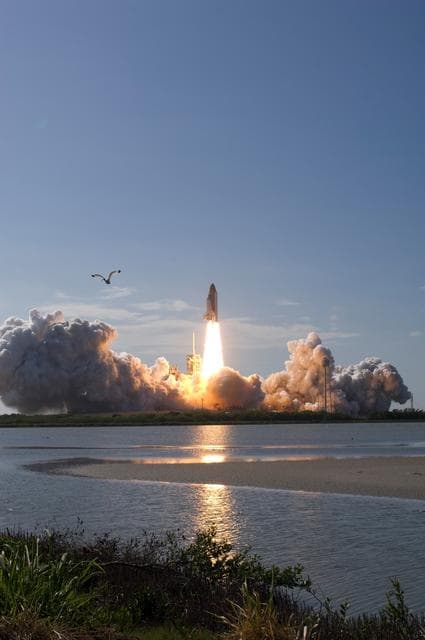 NASA image: KSC-08pd1546