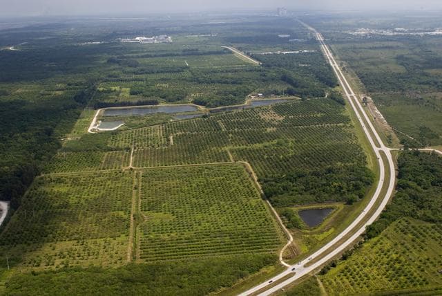 NASA image: KSC-08pd1830