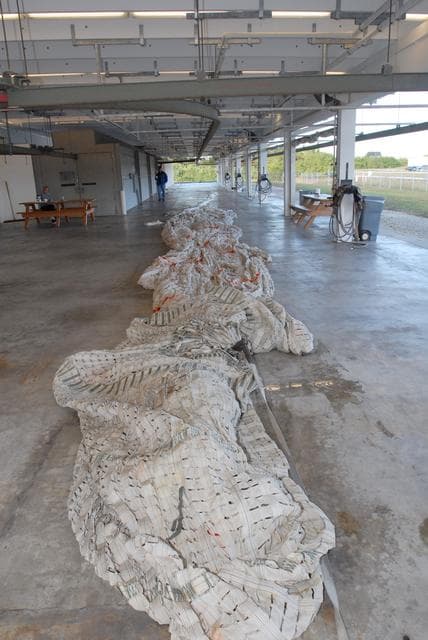 NASA image: KSC-08pd3739
