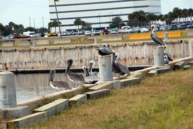 NASA image: KSC-08pd3864