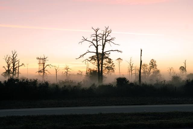 NASA image: KSC-2009-1009