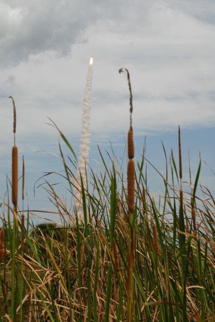 NASA image: KSC-2009-3101