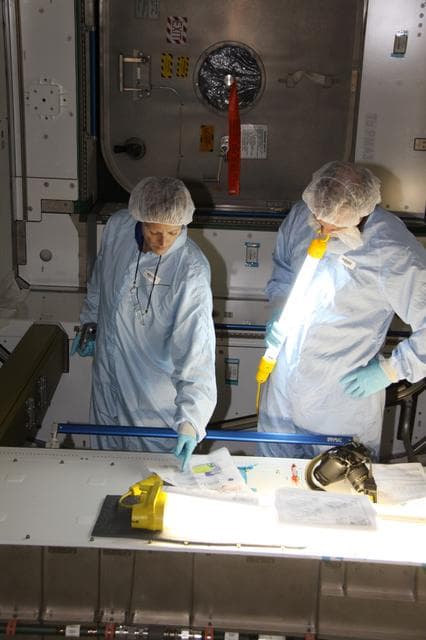 NASA image: KSC-2009-5433