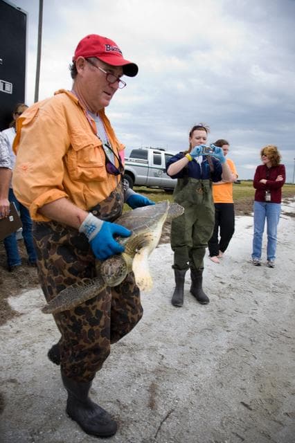 NASA image: KSC-2010-1270