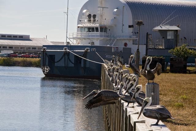 NASA image: KSC-2010-1351