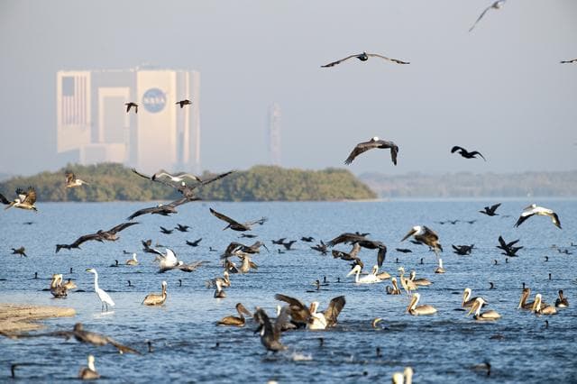 NASA image: KSC-2010-5937