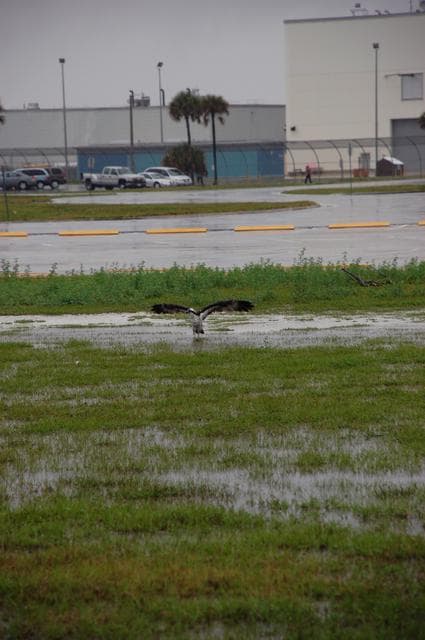 NASA image: KSC-2011-2649