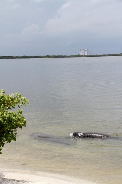 NASA image: KSC-2012-4540
