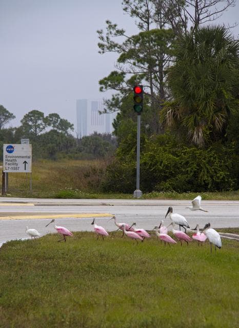 NASA image: KSC-2012-6251
