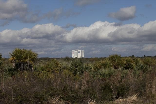 NASA image: Various Wildlife Around Schwartz Rd.