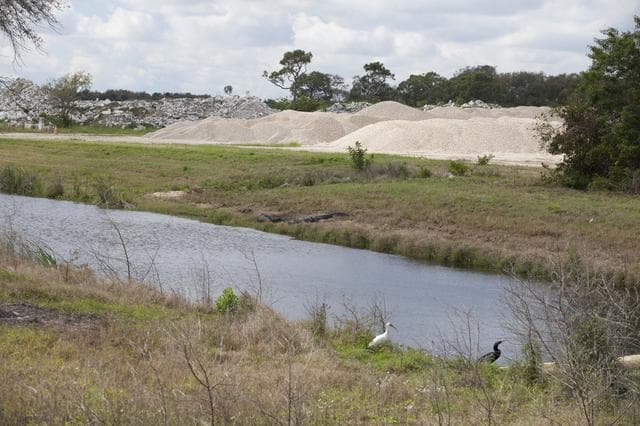 NASA image: Various Wildlife Around Schwartz Rd.