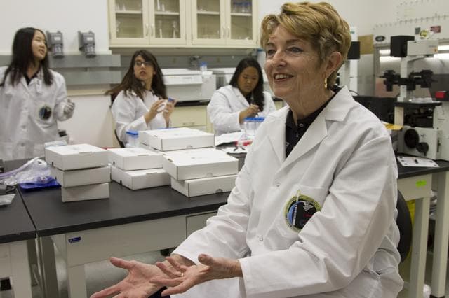NASA image: Millie Hughes-Fulford, Scientist and Prior Astronaut