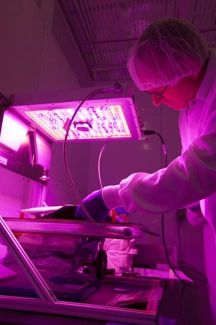 NASA image: KSC-2014-2466