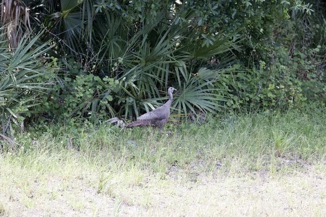 NASA image: KSC-2014-2531
