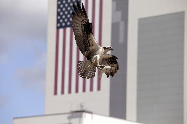 NASA image: KSC-2014-2848