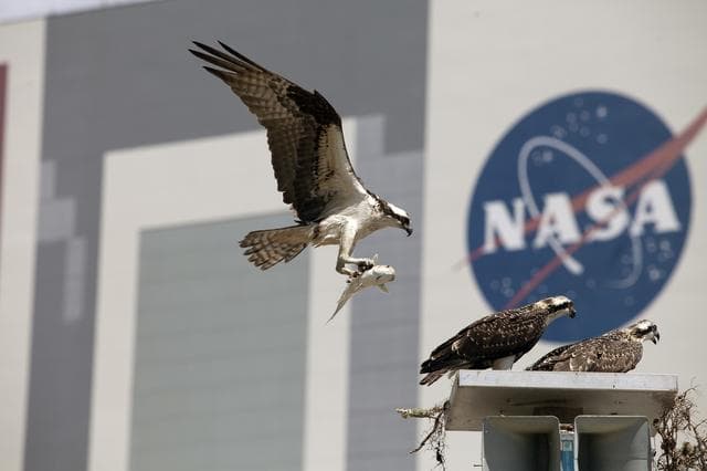 NASA image: KSC-2014-2849