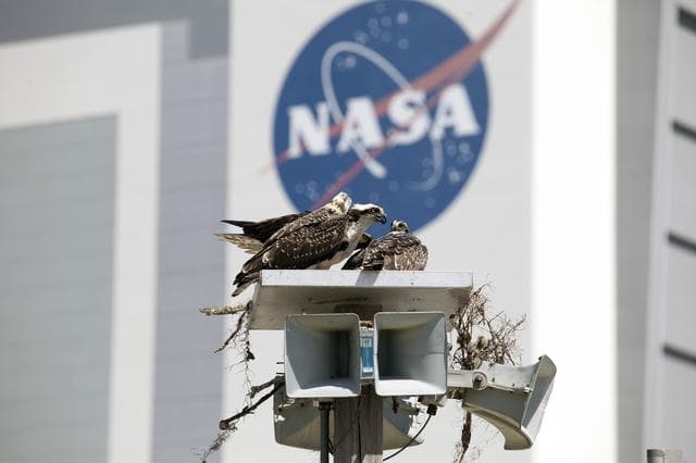 NASA image: KSC-2014-2850