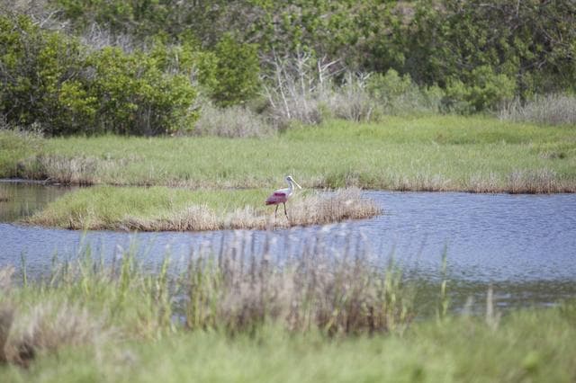 NASA image: KSC-2014-2919